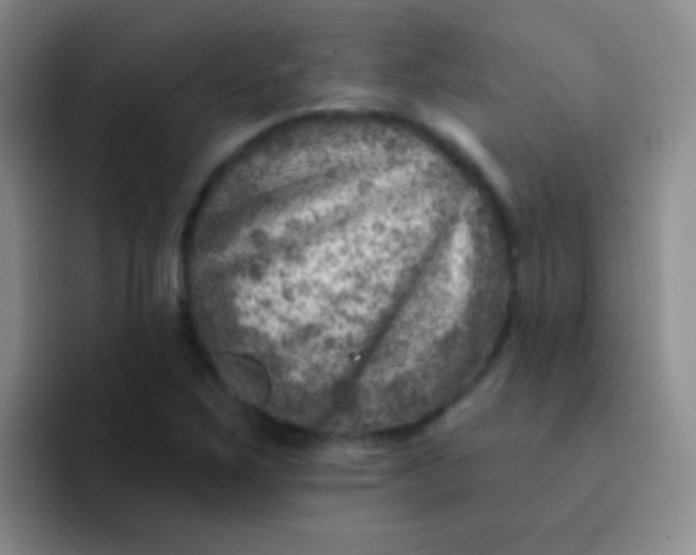 X0000092041267200709261944