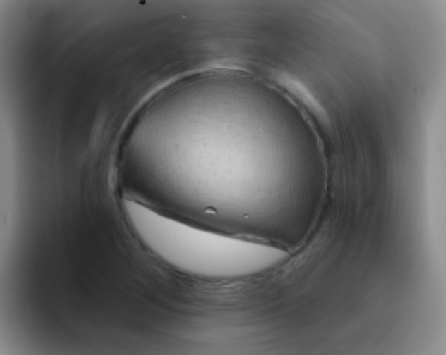 X0000092041268200709261944