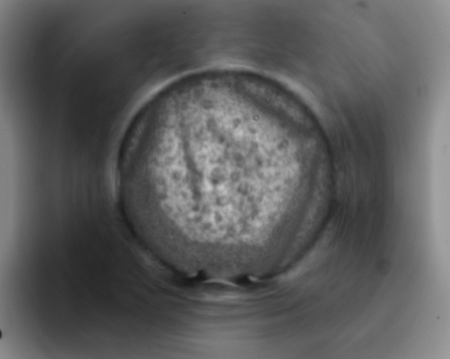 X0000092041271200709261944