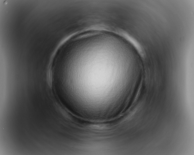 X0000092041272200709261944