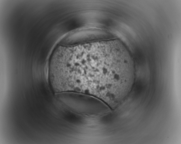 X0000092041275200709261944