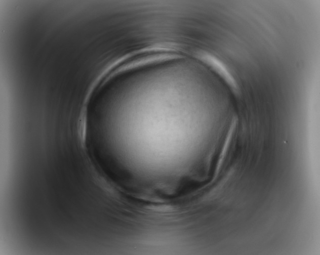 X0000092041276200709261944