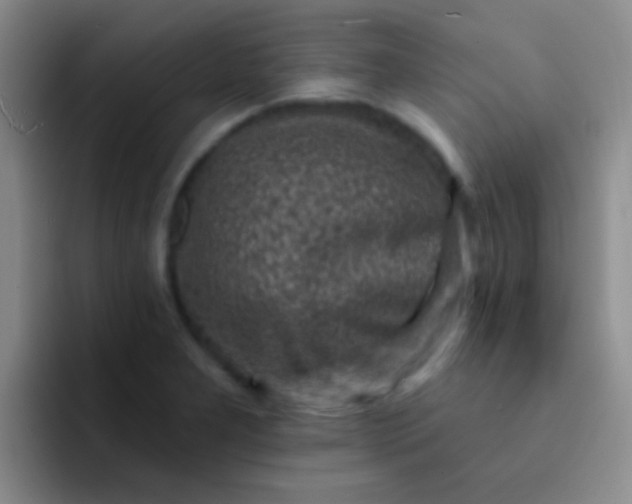 X0000092041277200709261944