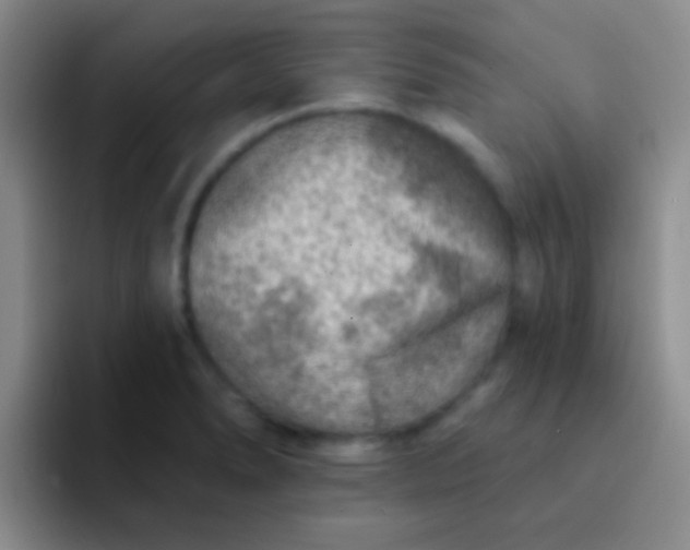 X0000092041278200709261944