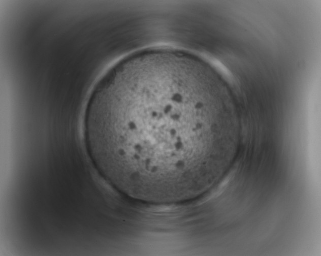 X0000092041279200709261944