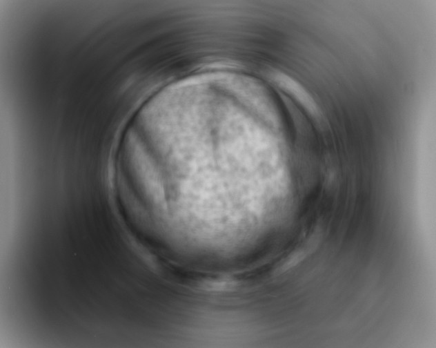 X0000092041282200709261944