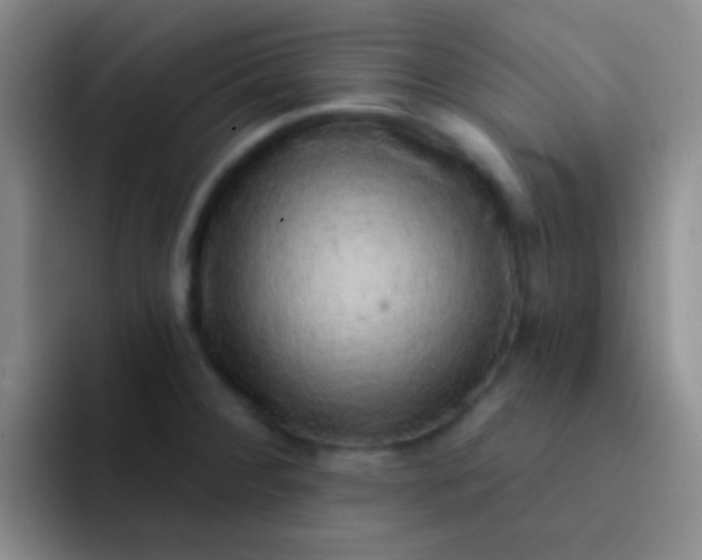 X0000092041284200709261944