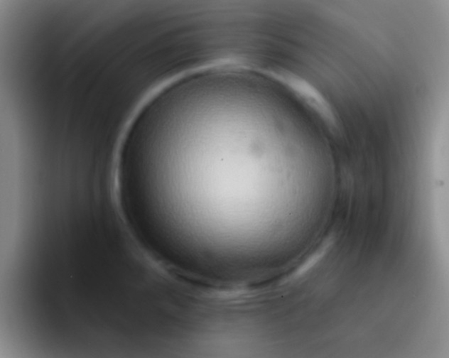 X0000092041288200709261944