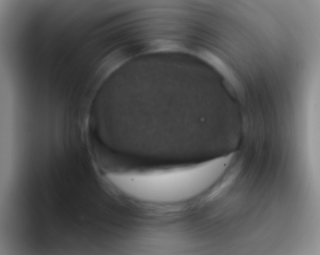 X0000092041289200709261944