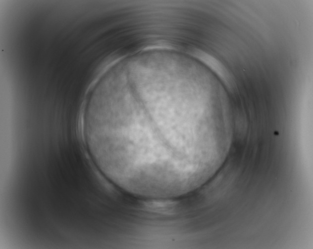 X0000092041290200709261944