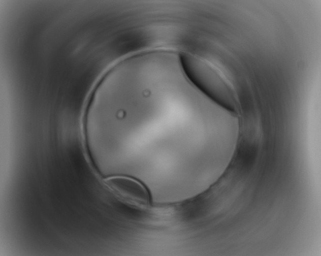 X0000092041291200709261944