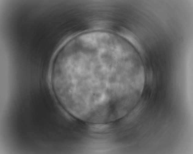 X0000092041294200709261944