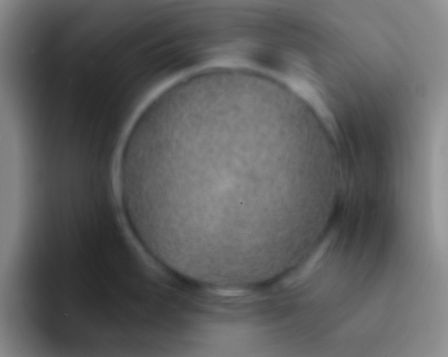 X0000092041295200709261944