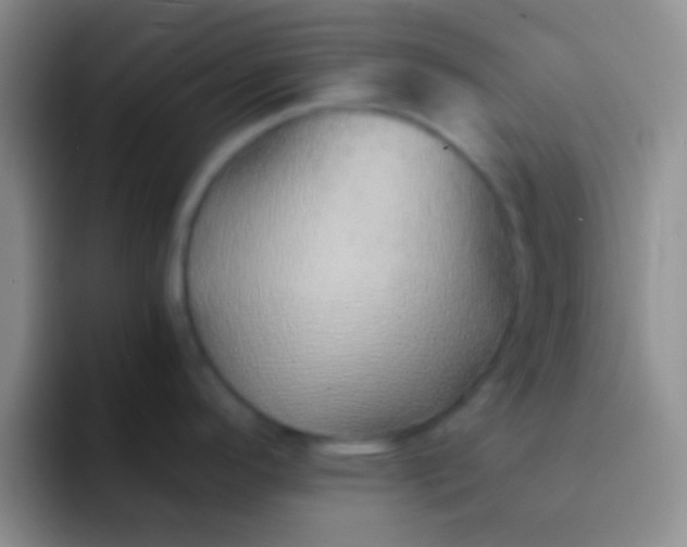 X0000092041296200709261944