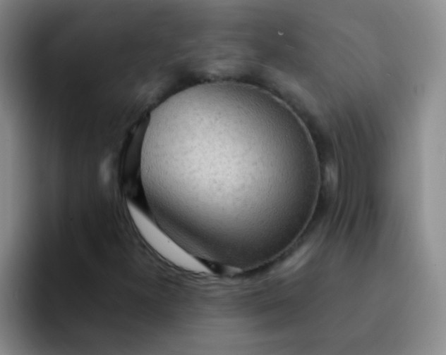 X0000092041300200709261943