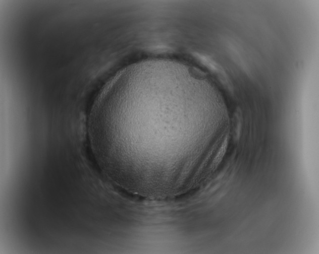 X0000092041301200709261943