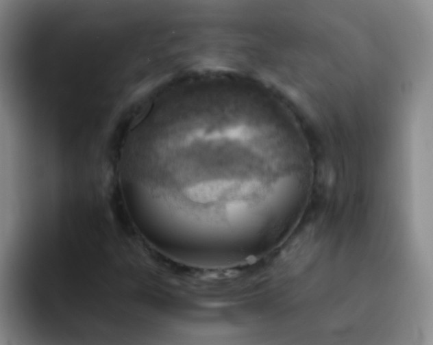 X0000092041303200709261943