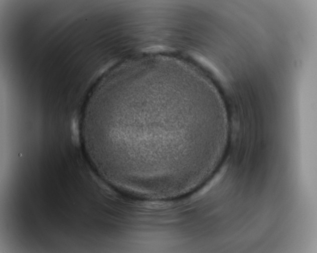 X0000092041305200709261943