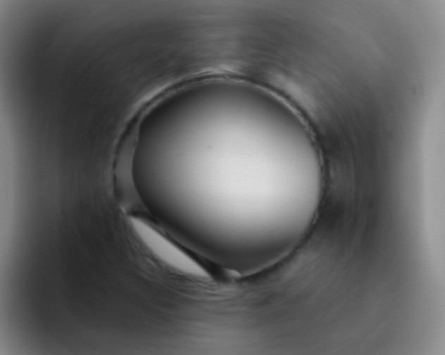 X0000092041308200709261943