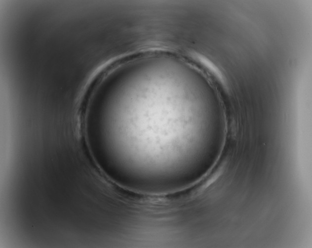 X0000092041310200709261943