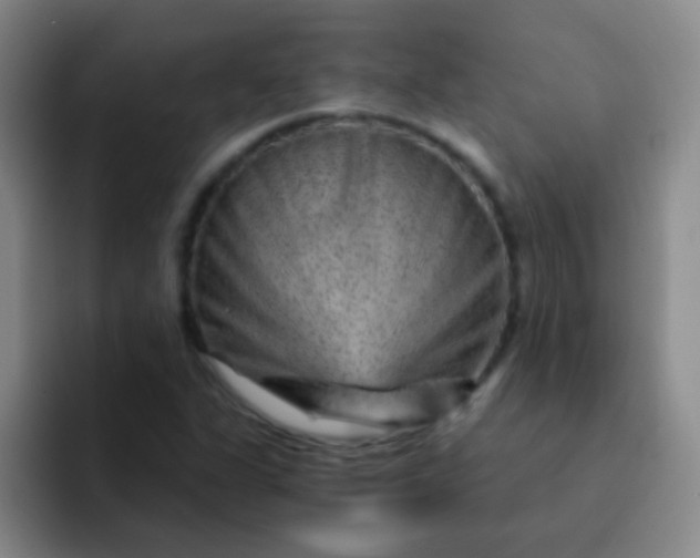 X0000092041311200709261943