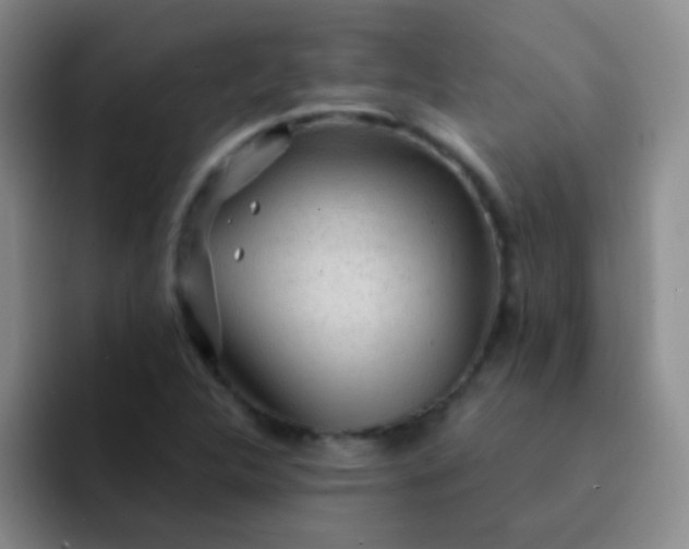 X0000092041312200709261943