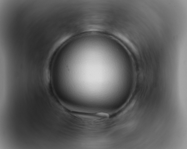 X0000092041317200709261943