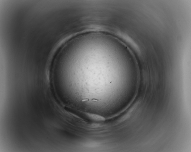 X0000092041318200709261943