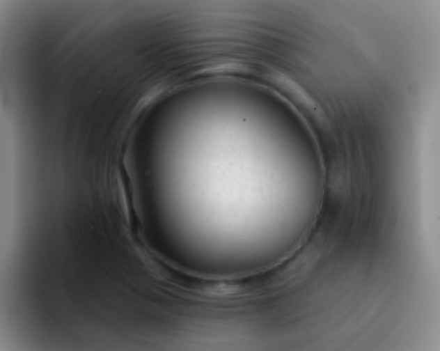 X0000092041321200709261943