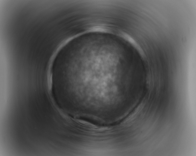 X0000092041323200709261943