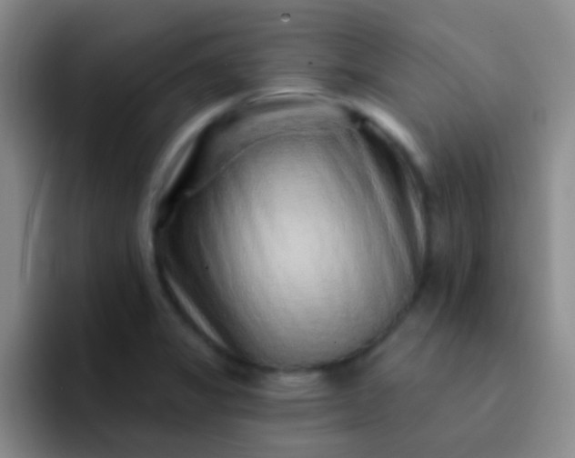 X0000092041325200709261943