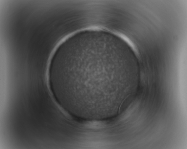 X0000092041327200709261943