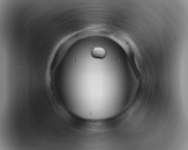 X0000092041328200709261943