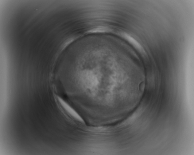 X0000092041329200709261943