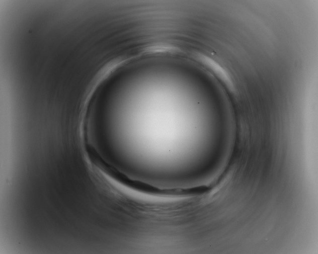 X0000092041330200709261943