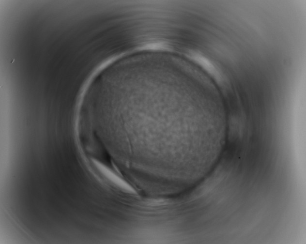 X0000092041331200709261943