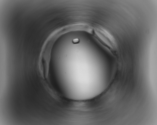 X0000092041332200709261943