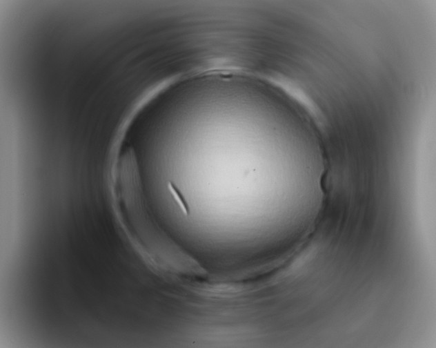 X0000092041333200709261943