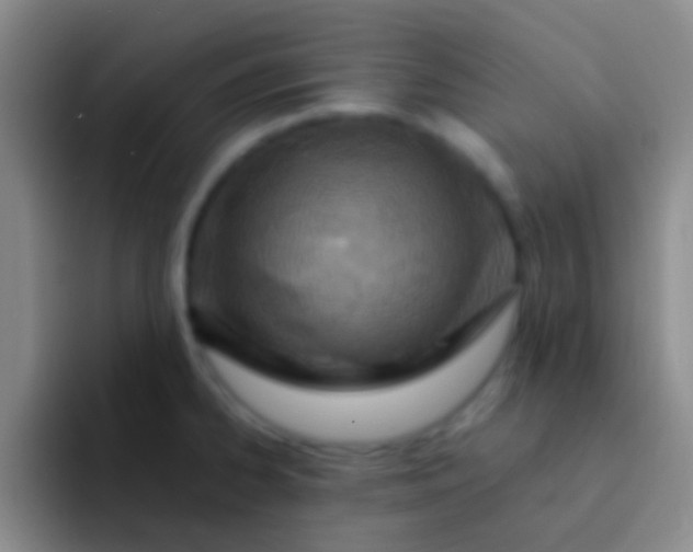 X0000092041334200709261943