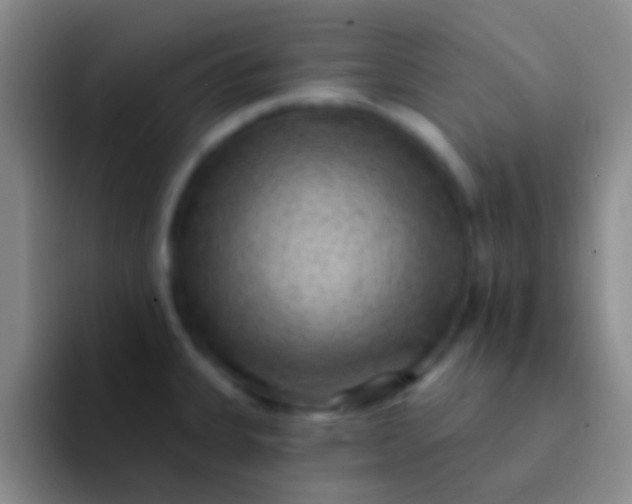 X0000092041335200709261943