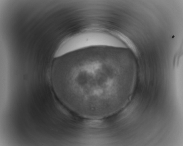 X0000092041337200709261943