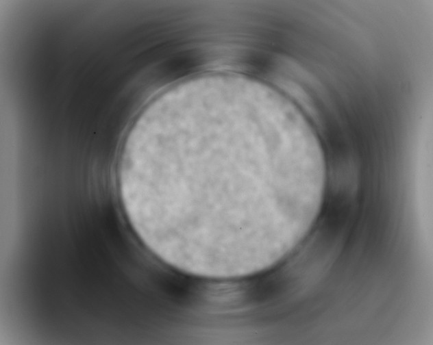 X0000092041338200709261943