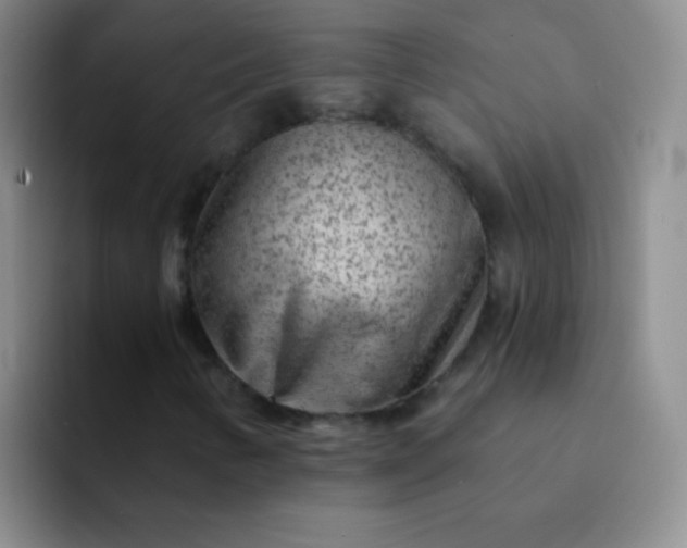 X0000092041346200709261943