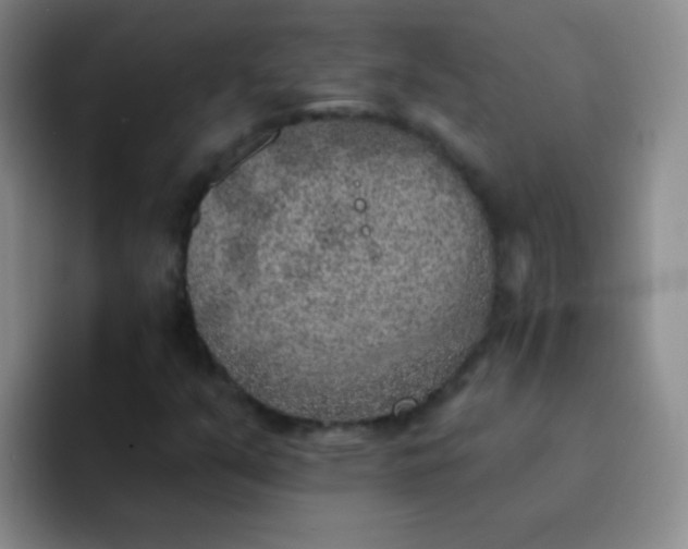 X0000092041351200709261943