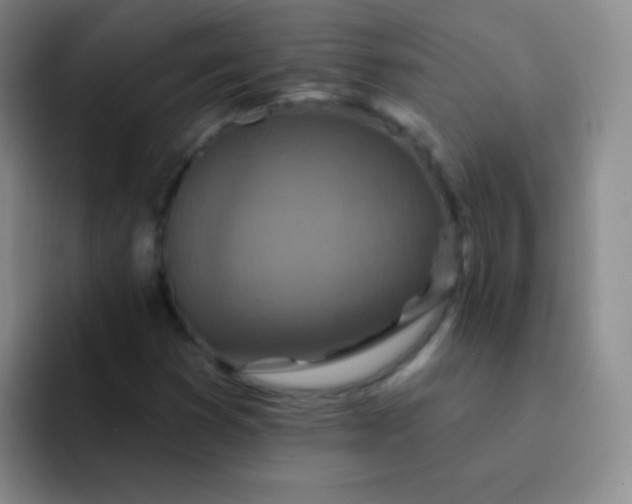 X0000092041353200709261943