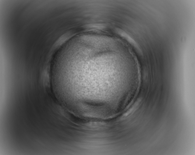 X0000092041354200709261943