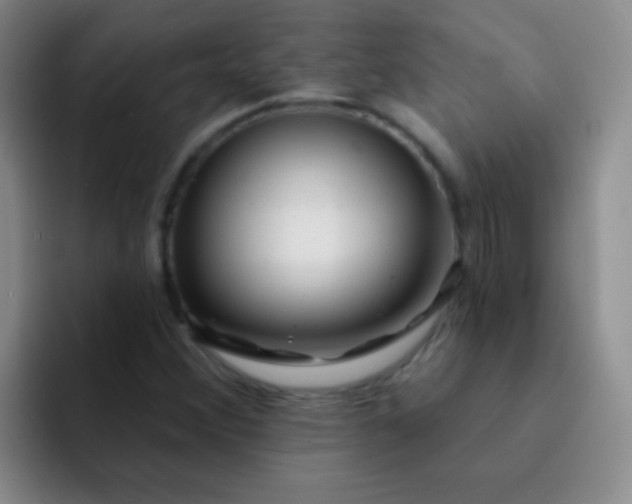 X0000092041356200709261943