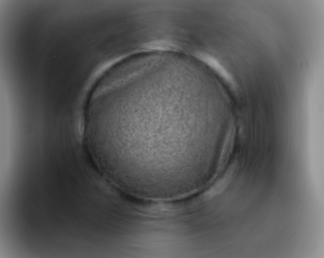 X0000092041358200709261943