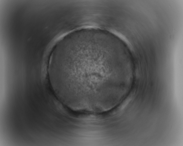 X0000092041359200709261943