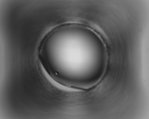 X0000092041360200709261943